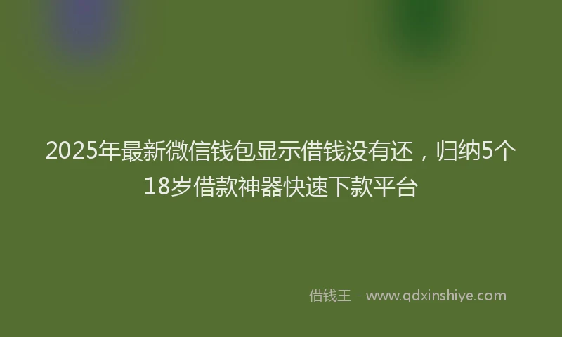 2025年最新微信钱包显示借钱没有还，归纳5个18岁借款神器快速下款平台