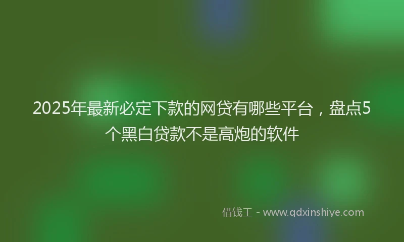 2025年最新必定下款的网贷有哪些平台，盘点5个黑白贷款不是高炮的软件