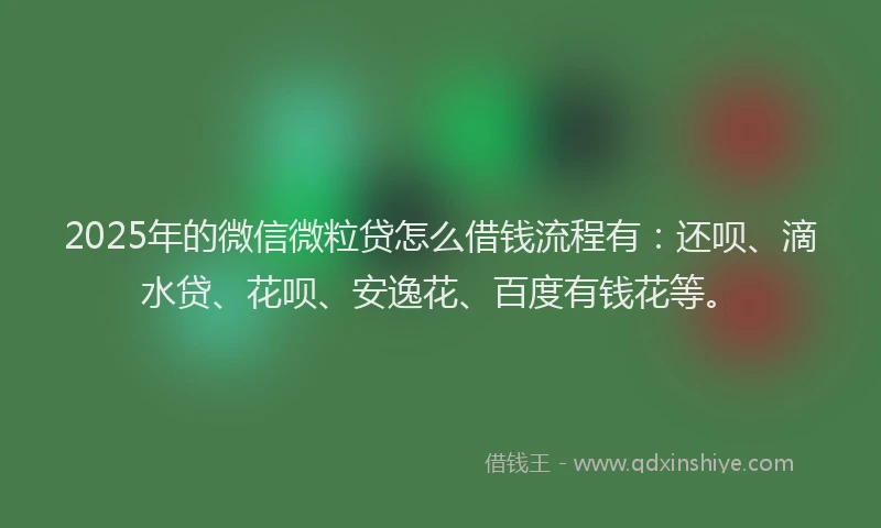 2025年的微信微粒贷怎么借钱流程有：还呗、滴水贷、花呗、安逸花、百度有钱花等。