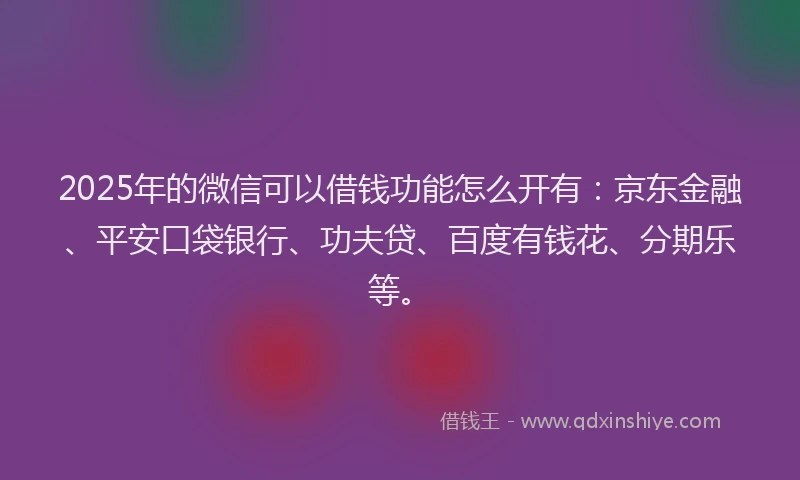 2025年的微信可以借钱功能怎么开有：京东金融、平安口袋银行、功夫贷、百度有钱花、分期乐等。