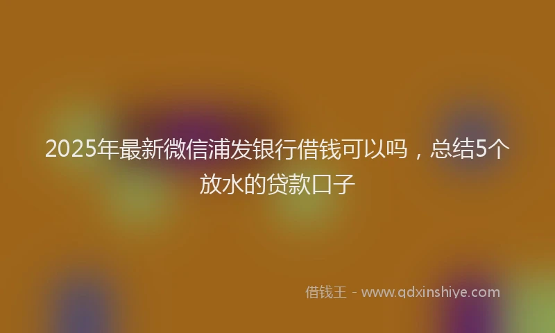 2025年最新微信浦发银行借钱可以吗，总结5个放水的贷款口子