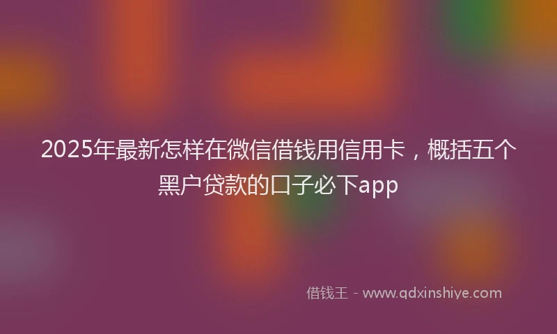 2025年最新怎样在微信借钱用信用卡，概括五个黑户贷款的口子必下app