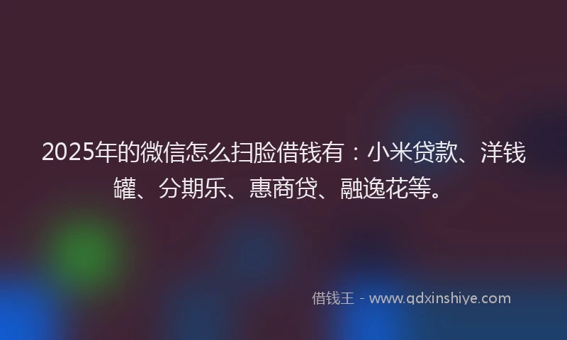 2025年的微信怎么扫脸借钱有：小米贷款、洋钱罐、分期乐、惠商贷、融逸花等。