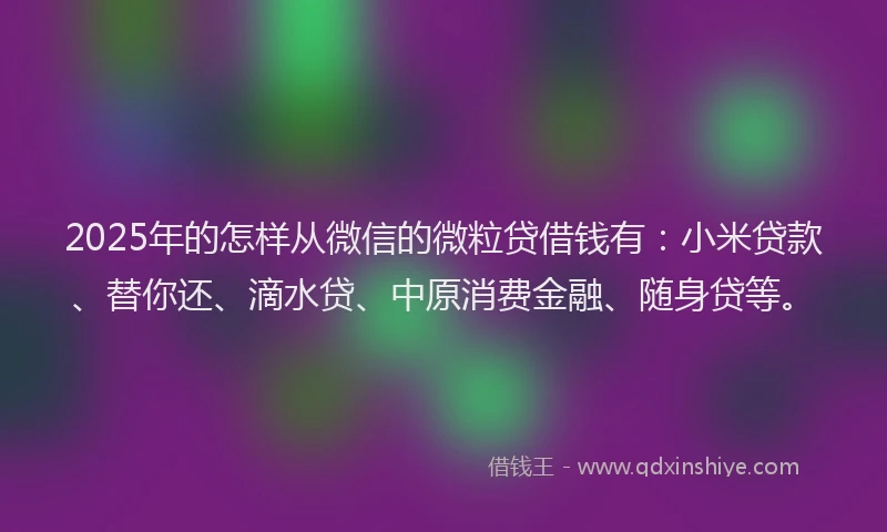 2025年的怎样从微信的微粒贷借钱有：小米贷款、替你还、滴水贷、中原消费金融、随身贷等。