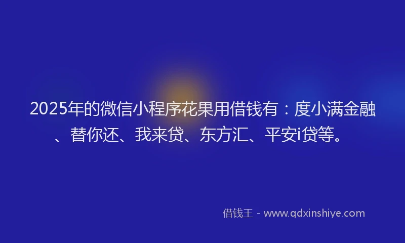 2025年的微信小程序花果用借钱有：度小满金融、替你还、我来贷、东方汇、平安i贷等。