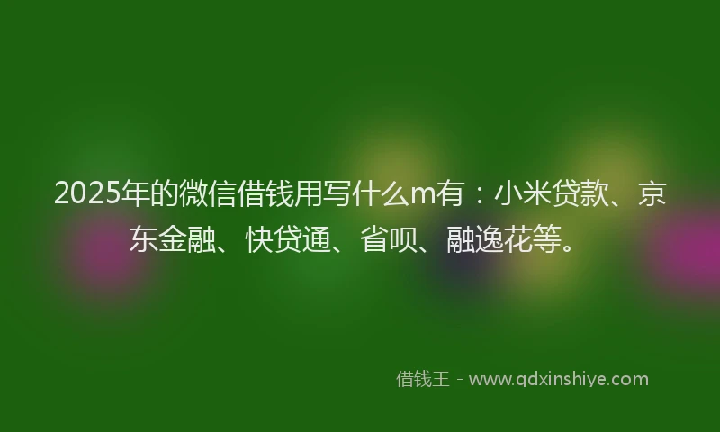 2025年的微信借钱用写什么m有：小米贷款、京东金融、快贷通、省呗、融逸花等。