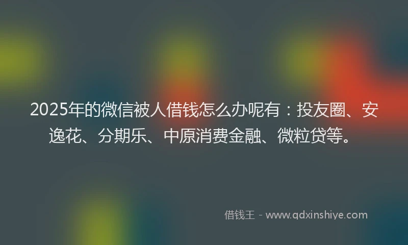2025年的微信被人借钱怎么办呢有：投友圈、安逸花、分期乐、中原消费金融、微粒贷等。