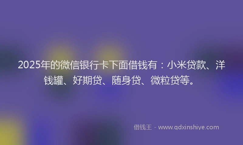 2025年的微信银行卡下面借钱有：小米贷款、洋钱罐、好期贷、随身贷、微粒贷等。