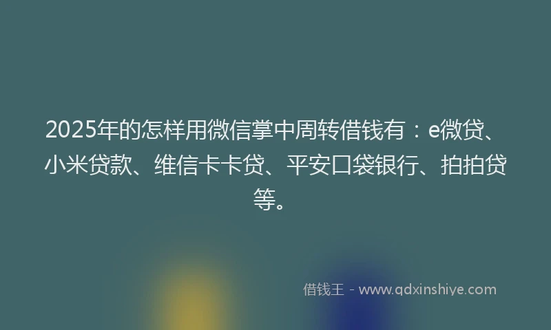 2025年的怎样用微信掌中周转借钱有：e微贷、小米贷款、维信卡卡贷、平安口袋银行、拍拍贷等。