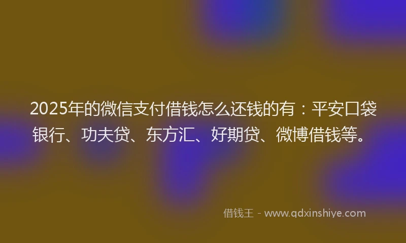 2025年的微信支付借钱怎么还钱的有：平安口袋银行、功夫贷、东方汇、好期贷、微博借钱等。