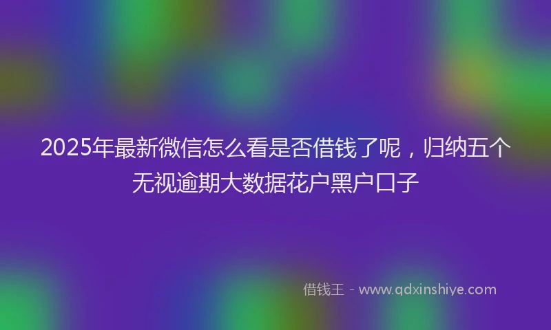 2025年最新微信怎么看是否借钱了呢，归纳五个无视逾期大数据花户黑户口子