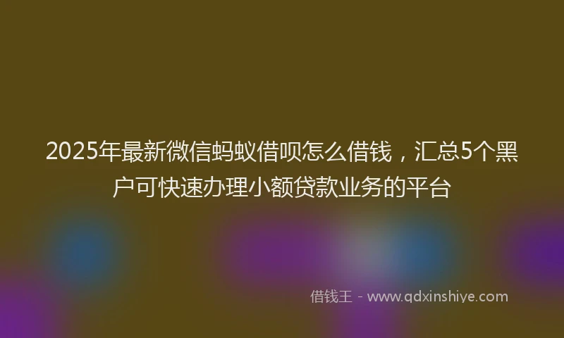 2025年最新微信蚂蚁借呗怎么借钱，汇总5个黑户可快速办理小额贷款业务的平台