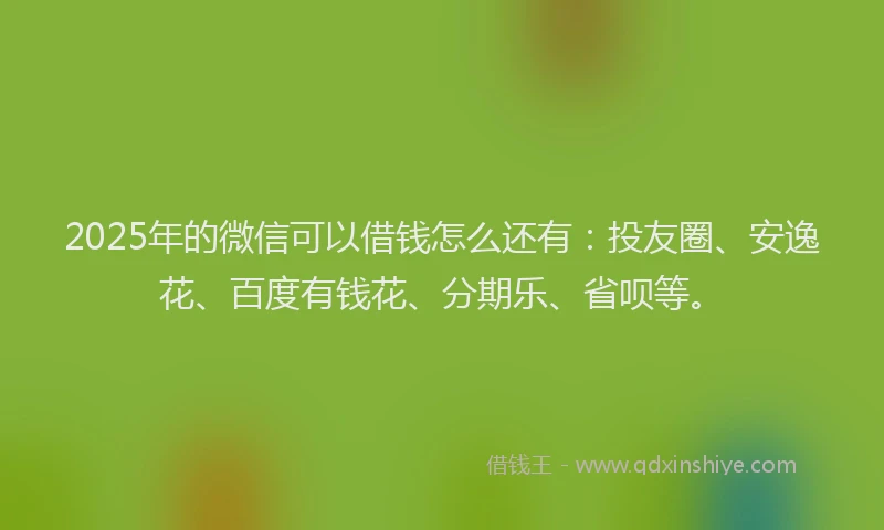 2025年的微信可以借钱怎么还有：投友圈、安逸花、百度有钱花、分期乐、省呗等。