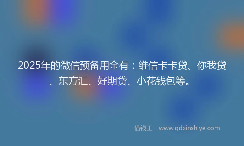 2025年的微信预备用金有：维信卡卡贷、你我贷、东方汇、好期贷、小花钱包等。