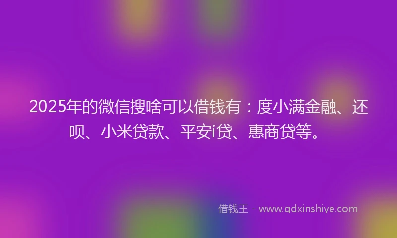 2025年的微信搜啥可以借钱有：度小满金融、还呗、小米贷款、平安i贷、惠商贷等。