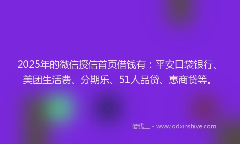 2025年的微信授信首页借钱有：平安口袋银行、美团生活费、分期乐、51人品贷、惠商贷等。
