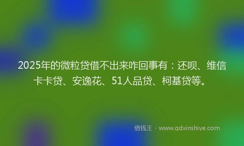2025年的微粒贷借不出来咋回事有：还呗、维信卡卡贷、安逸花、51人品贷、柯基贷等。
