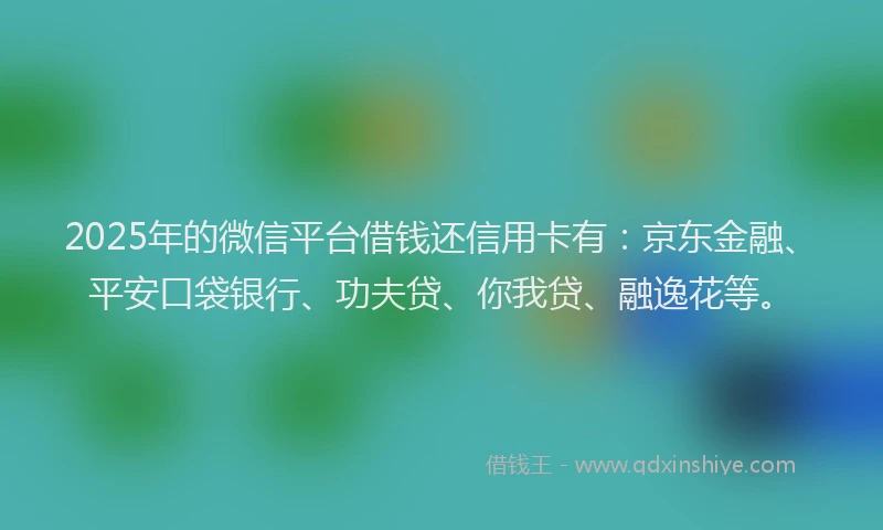 2025年的微信平台借钱还信用卡有：京东金融、平安口袋银行、功夫贷、你我贷、融逸花等。