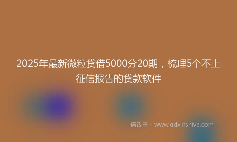 2025年最新微粒贷借5000分20期，梳理5个不上征信报告的贷款软件