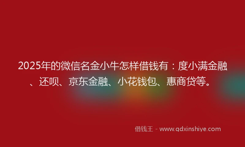 2025年的微信名金小牛怎样借钱有：度小满金融、还呗、京东金融、小花钱包、惠商贷等。