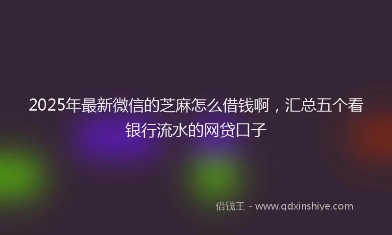2025年最新微信的芝麻怎么借钱啊，汇总五个看银行流水的网贷口子