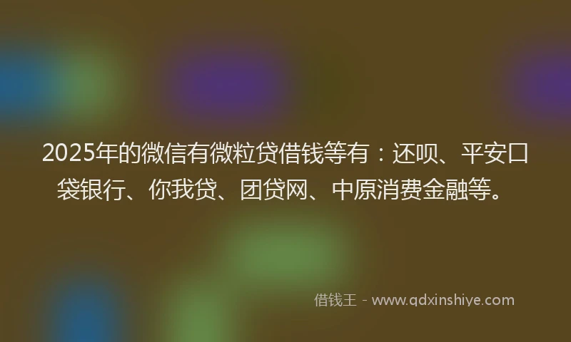 2025年的微信有微粒贷借钱等有：还呗、平安口袋银行、你我贷、团贷网、中原消费金融等。