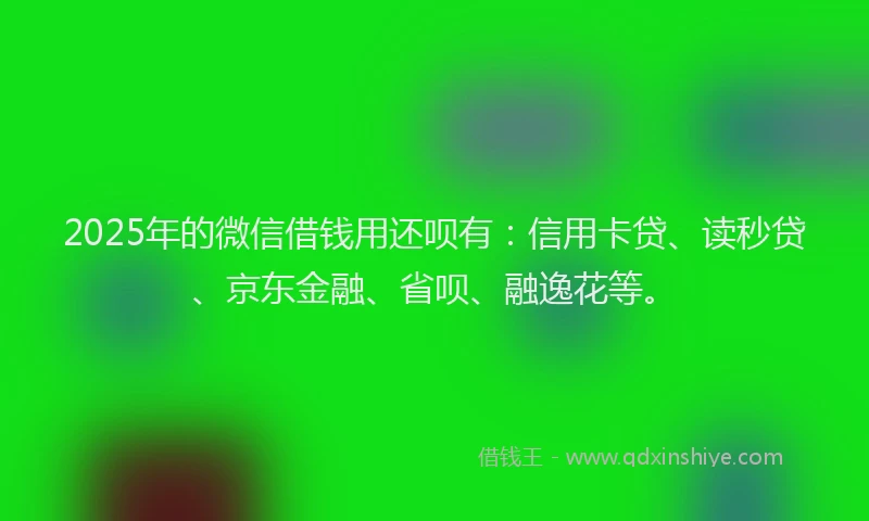 2025年的微信借钱用还呗有：信用卡贷、读秒贷、京东金融、省呗、融逸花等。