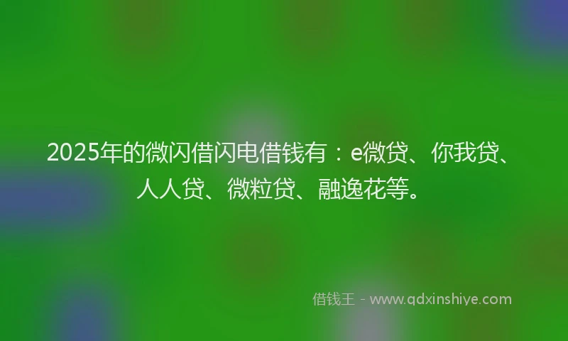2025年的微闪借闪电借钱有：e微贷、你我贷、人人贷、微粒贷、融逸花等。