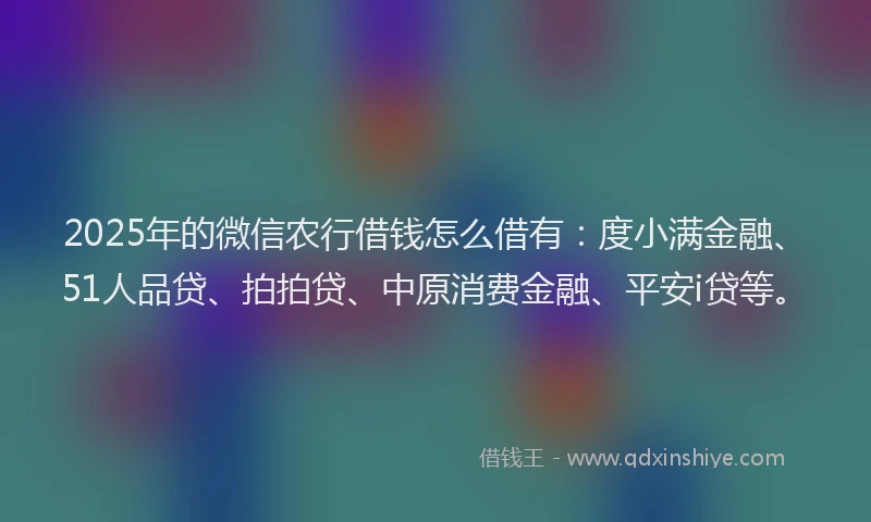 2025年的微信农行借钱怎么借有：度小满金融、51人品贷、拍拍贷、中原消费金融、平安i贷等。