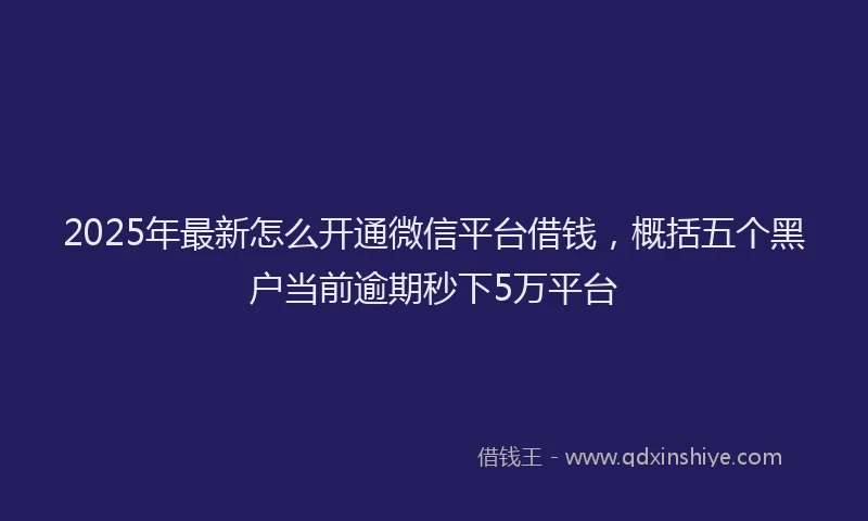 2025年最新怎么开通微信平台借钱，概括五个黑户当前逾期秒下5万平台