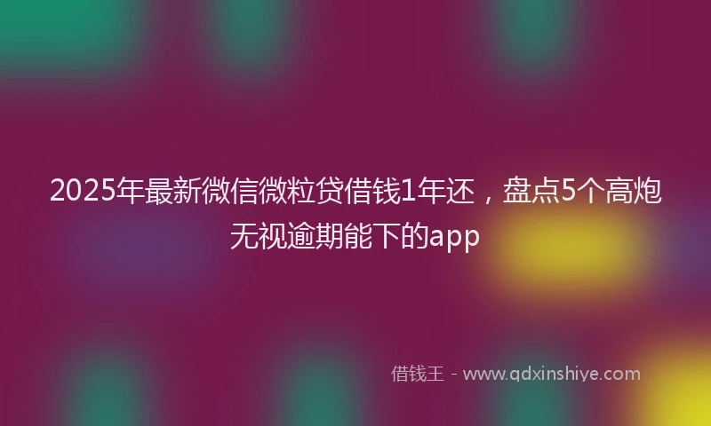 2025年最新微信微粒贷借钱1年还，盘点5个高炮无视逾期能下的app