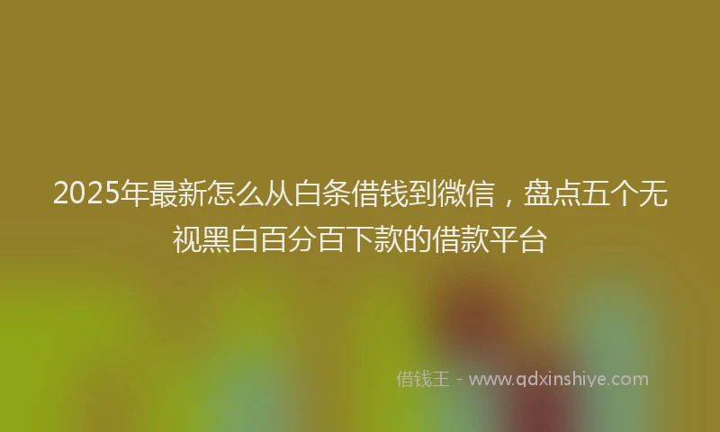 2025年最新怎么从白条借钱到微信，盘点五个无视黑白百分百下款的借款平台