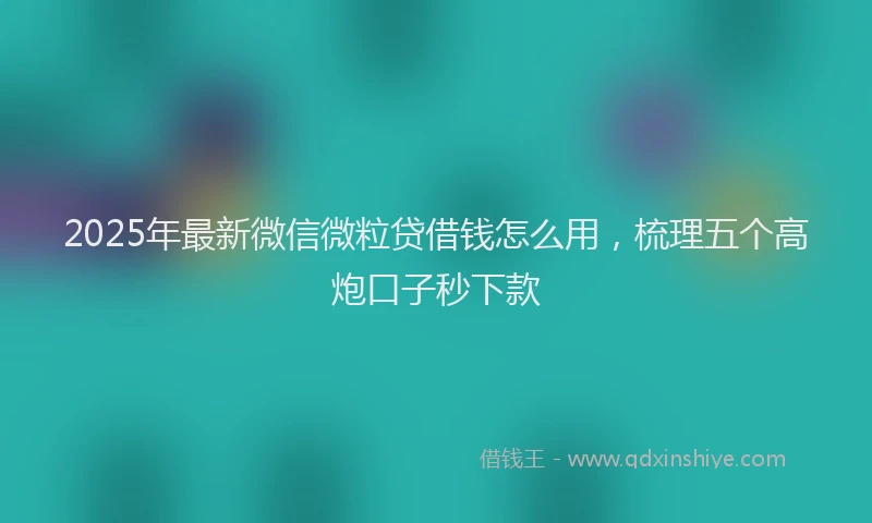 2025年最新微信微粒贷借钱怎么用，梳理五个高炮口子秒下款