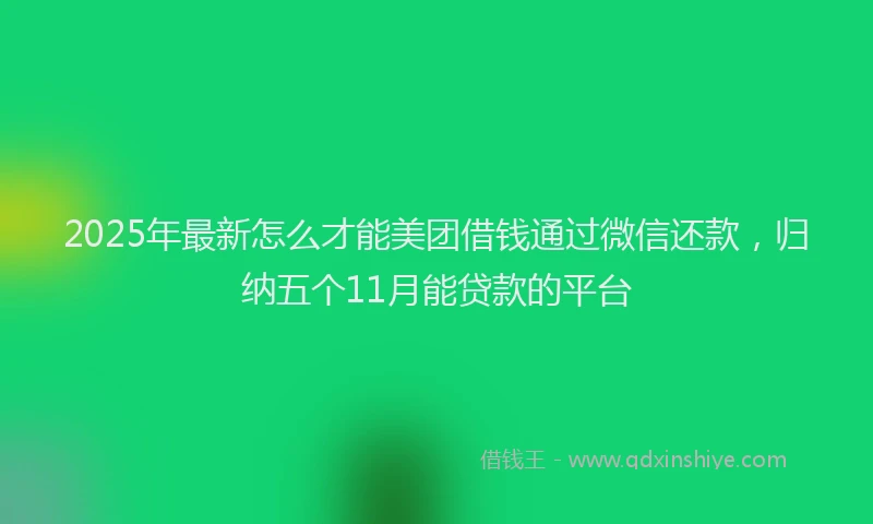 2025年最新怎么才能美团借钱通过微信还款，归纳五个11月能贷款的平台