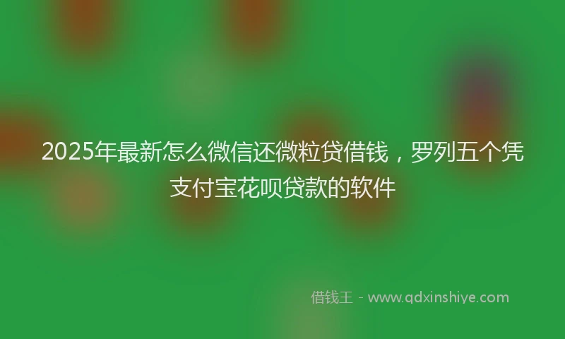2025年最新怎么微信还微粒贷借钱，罗列五个凭支付宝花呗贷款的软件