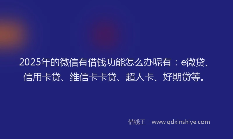2025年的微信有借钱功能怎么办呢有：e微贷、信用卡贷、维信卡卡贷、超人卡、好期贷等。