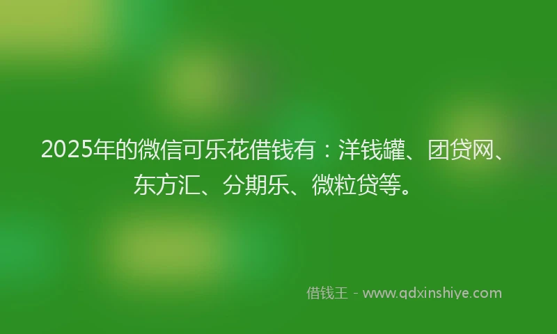 2025年的微信可乐花借钱有：洋钱罐、团贷网、东方汇、分期乐、微粒贷等。