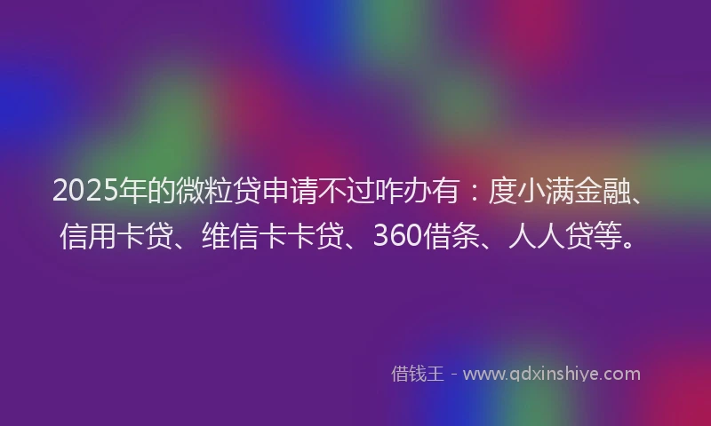 2025年的微粒贷申请不过咋办有：度小满金融、信用卡贷、维信卡卡贷、360借条、人人贷等。