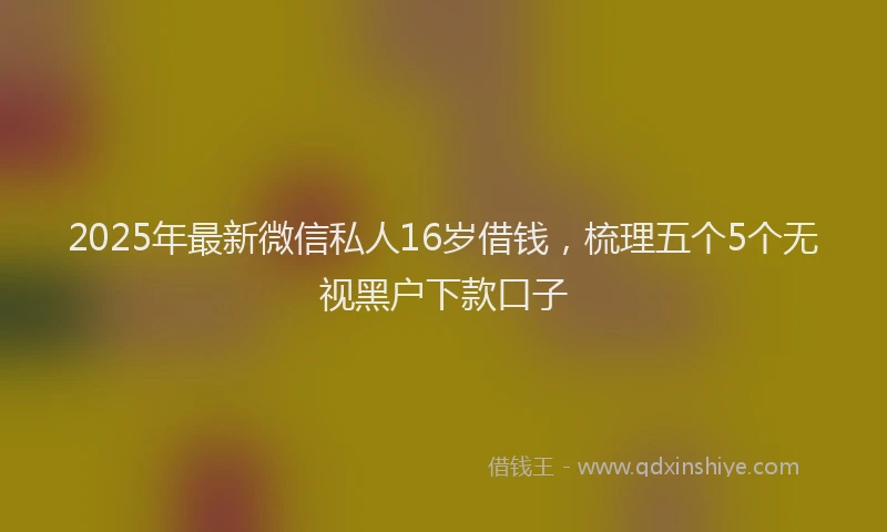 2025年最新微信私人16岁借钱，梳理五个5个无视黑户下款口子