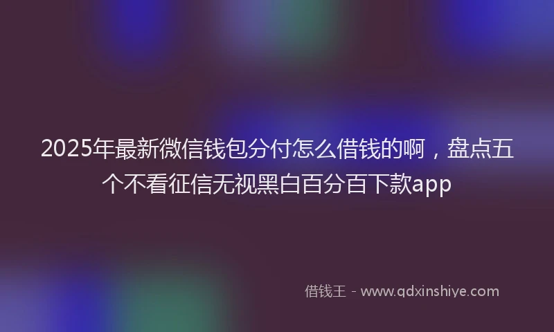 2025年最新微信钱包分付怎么借钱的啊，盘点五个不看征信无视黑白百分百下款app