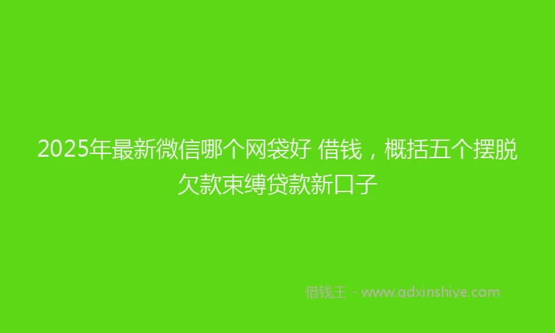 2025年最新微信哪个网袋好 借钱，概括五个摆脱欠款束缚贷款新口子