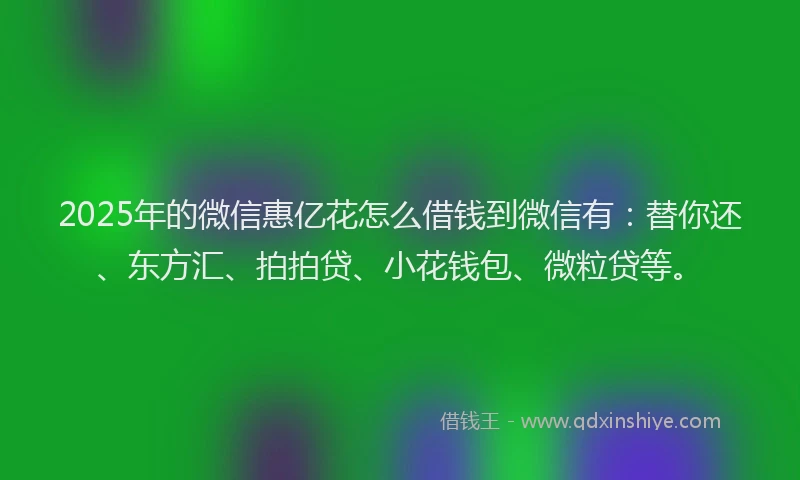 2025年的微信惠亿花怎么借钱到微信有：替你还、东方汇、拍拍贷、小花钱包、微粒贷等。