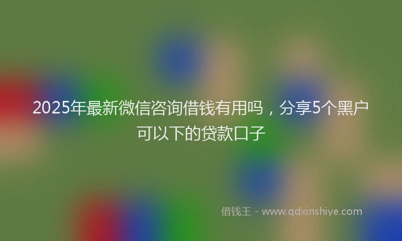 2025年最新微信咨询借钱有用吗，分享5个黑户可以下的贷款口子