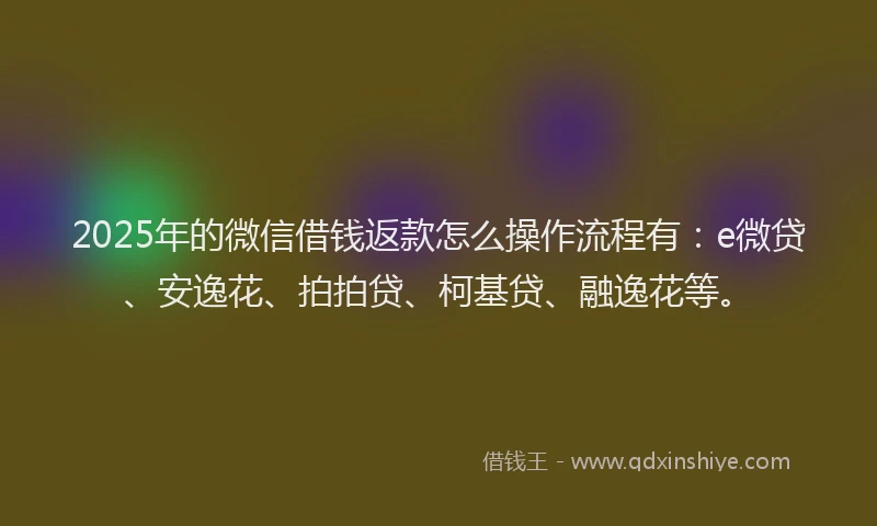 2025年的微信借钱返款怎么操作流程有：e微贷、安逸花、拍拍贷、柯基贷、融逸花等。