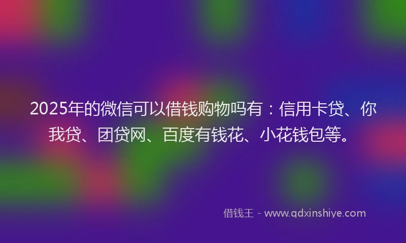 2025年的微信可以借钱购物吗有：信用卡贷、你我贷、团贷网、百度有钱花、小花钱包等。