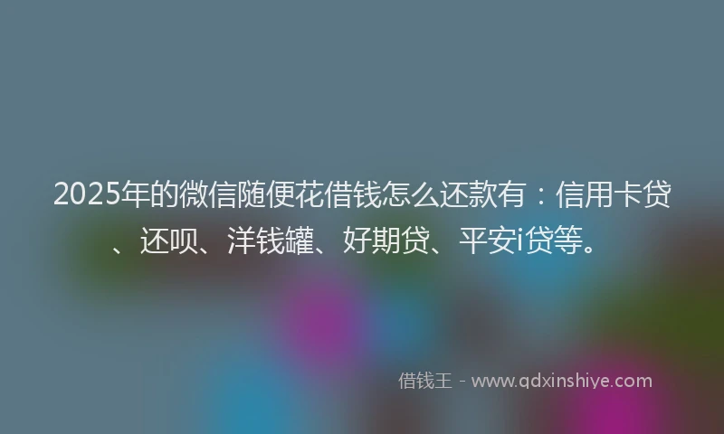 2025年的微信随便花借钱怎么还款有：信用卡贷、还呗、洋钱罐、好期贷、平安i贷等。