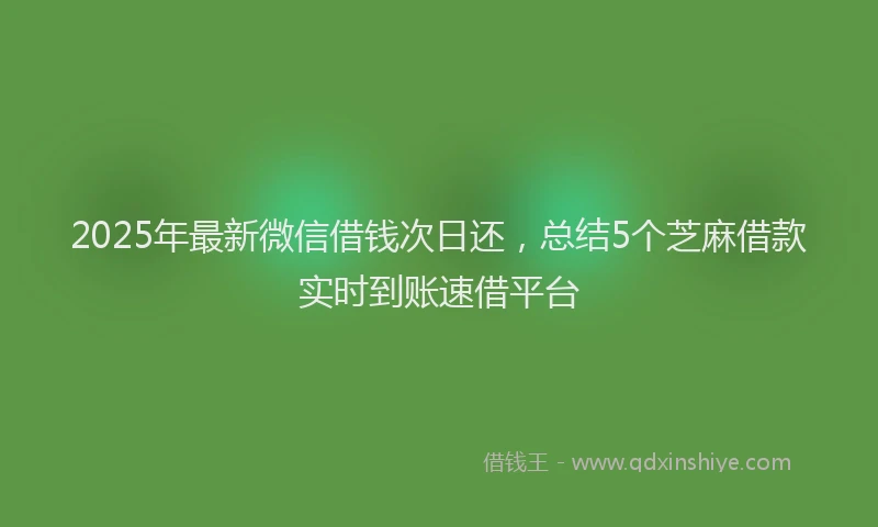 2025年最新微信借钱次日还，总结5个芝麻借款实时到账速借平台