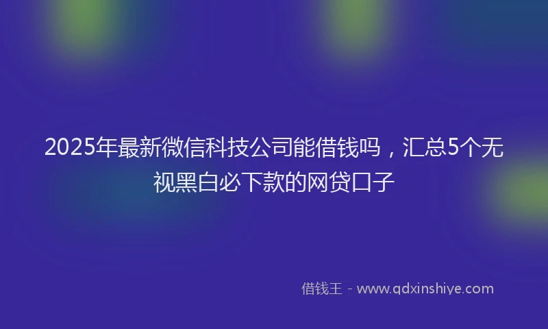 2025年最新微信科技公司能借钱吗，汇总5个无视黑白必下款的网贷口子