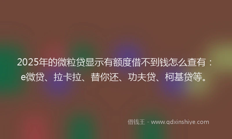 2025年的微粒贷显示有额度借不到钱怎么查有：e微贷、拉卡拉、替你还、功夫贷、柯基贷等。