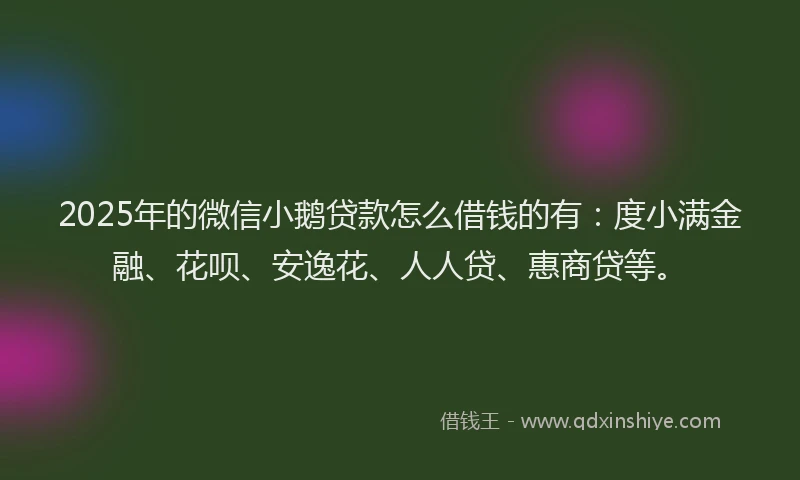 2025年的微信小鹅贷款怎么借钱的有：度小满金融、花呗、安逸花、人人贷、惠商贷等。